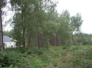 Gelände Cerans Foulletourte